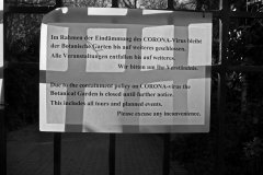 Köln-Riehl und Corona: das Kölner Leben mit der Corona-Epidemie - mit und ohne Menschen