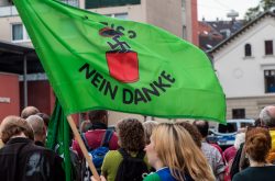 Grün und gegen Nazis