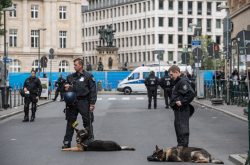 Auch Hundestaffeln sind Teil des Großaufgebots der Polizei | © Christian Martischius