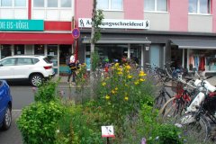Wie umgehen mit „anrüchigen“ Straßennamen? - Köln Ehrenfeld, Urban Gardening an der Iltisstr.